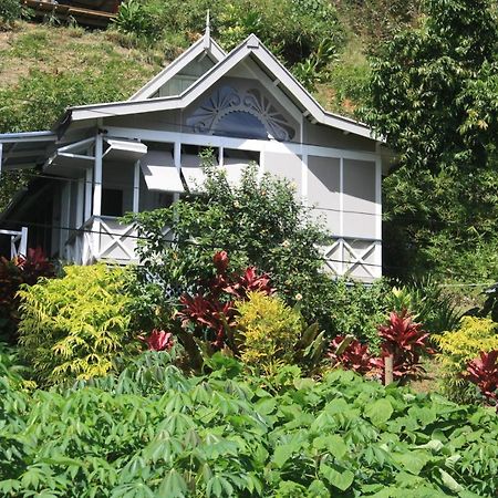 سافوسافو Gingerbread Cottage And Studio Fiji المظهر الخارجي الصورة