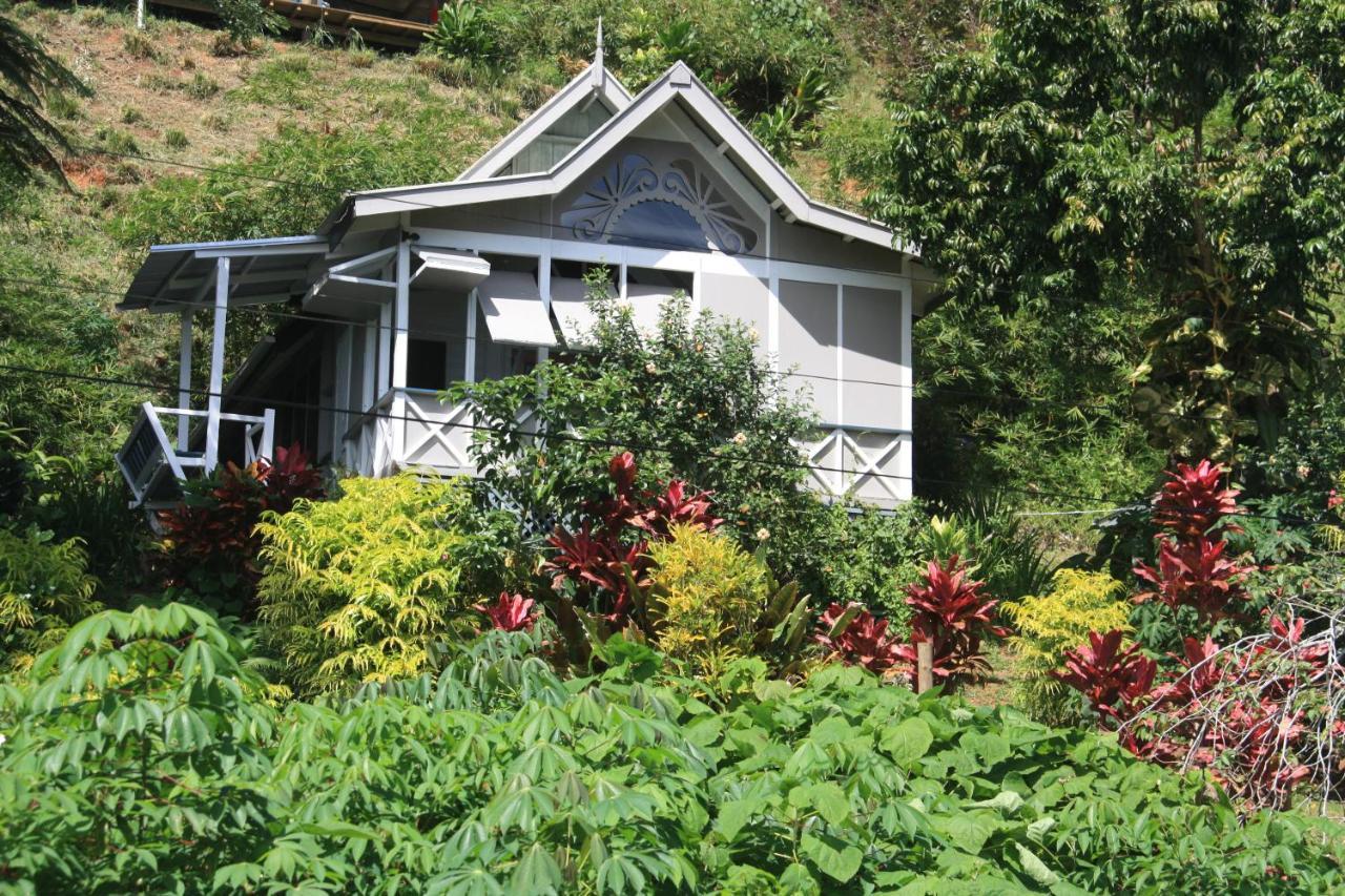 سافوسافو Gingerbread Cottage And Studio Fiji المظهر الخارجي الصورة